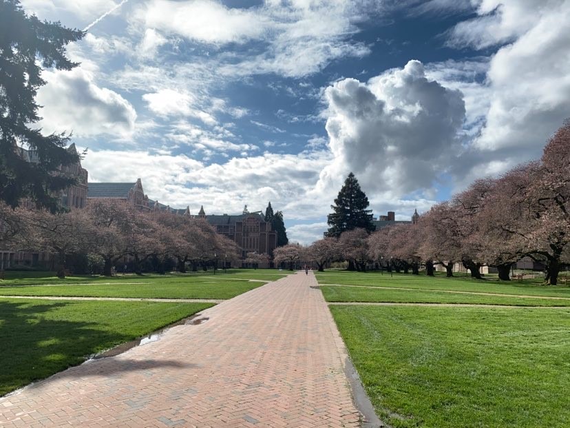 Empty Quad at the UW Campus